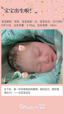 journal_insert_pic_1182051477