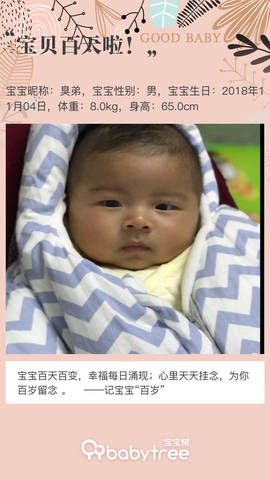 journal_insert_pic_1182785239