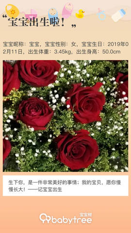 journal_insert_pic_1184370172