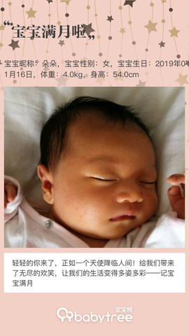 journal_insert_pic_1184220213