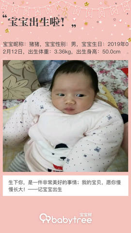 journal_insert_pic_1185147147