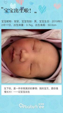 journal_insert_pic_1184910406