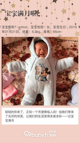 journal_insert_pic_1186226485