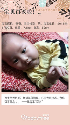 journal_insert_pic_1186249165
