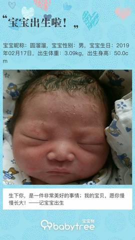 journal_insert_pic_1186774814