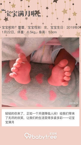 journal_insert_pic_1186872743
