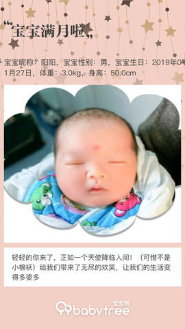 journal_insert_pic_1188242352