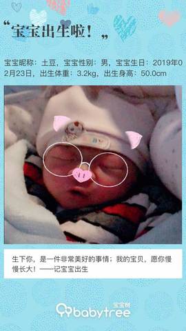 journal_insert_pic_1188678693