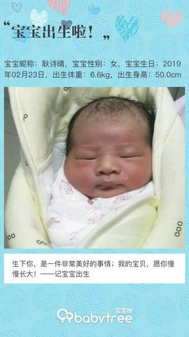 journal_insert_pic_1189541125