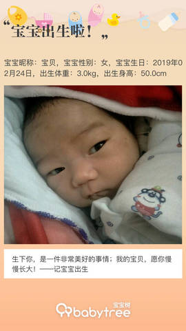 journal_insert_pic_1190211130
