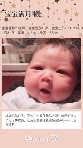 journal_insert_pic_1190505631