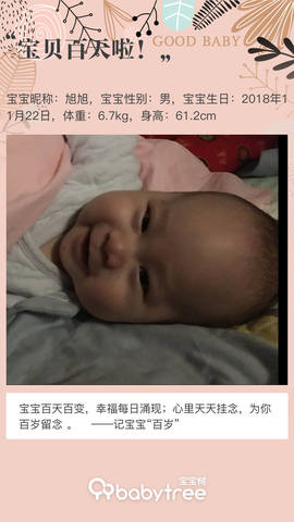 journal_insert_pic_1190310679