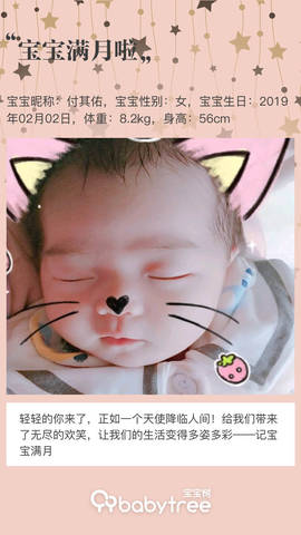 journal_insert_pic_1191121410