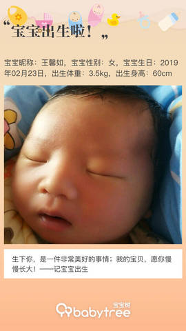 journal_insert_pic_1191075294