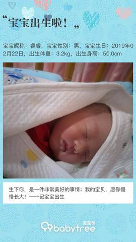 journal_insert_pic_1190915177