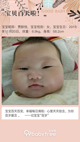 journal_insert_pic_1191574117