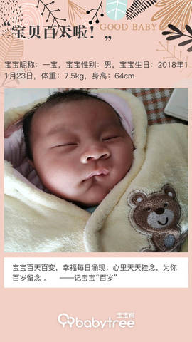 journal_insert_pic_1192411308