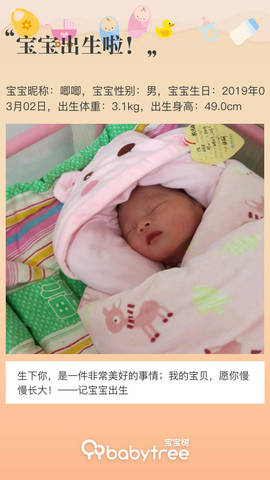 journal_insert_pic_1192504821