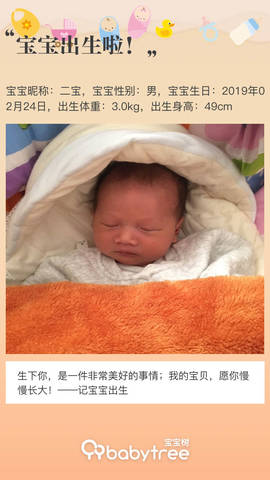 journal_insert_pic_1193552468