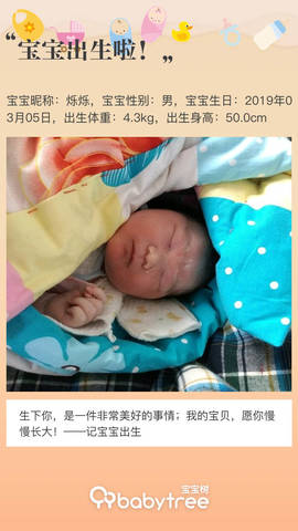 journal_insert_pic_1193242073