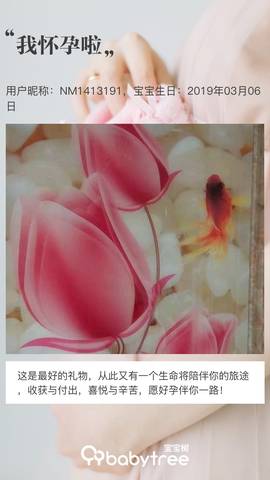 journal_insert_pic_1193735261