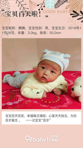 journal_insert_pic_1195050841