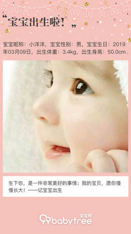 journal_insert_pic_1195633946