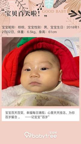 journal_insert_pic_1196145580