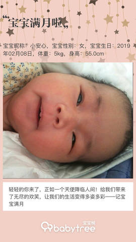 journal_insert_pic_1196138395