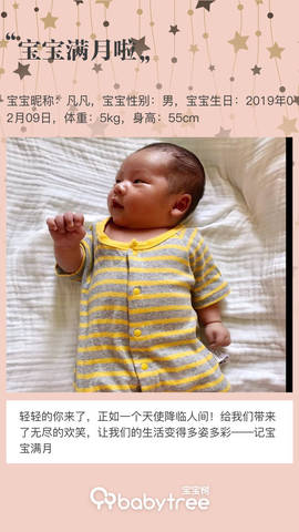 journal_insert_pic_1198035529