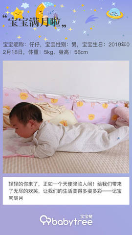 journal_insert_pic_1199643332