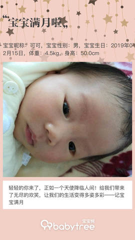 journal_insert_pic_1201078240