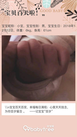 journal_insert_pic_1201153344