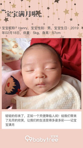 journal_insert_pic_1202021303