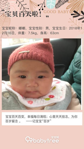 journal_insert_pic_1202552460