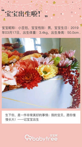 journal_insert_pic_1203588372