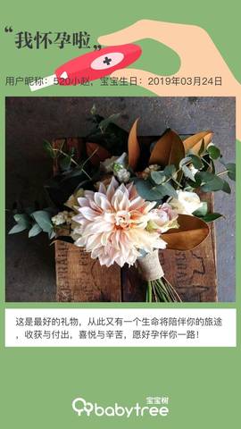 journal_insert_pic_1203809168