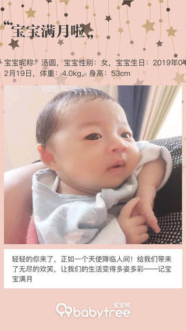 journal_insert_pic_1203667381