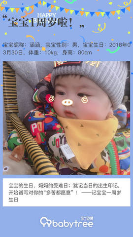journal_insert_pic_1203686539