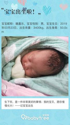 journal_insert_pic_1203842829