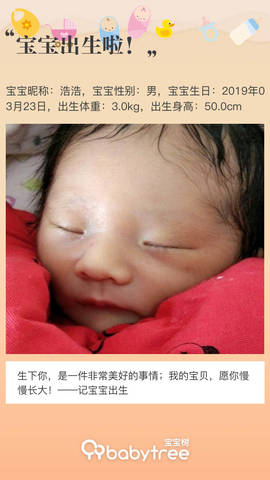 journal_insert_pic_1204611895