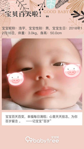 journal_insert_pic_1204765860