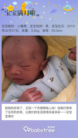 journal_insert_pic_1205543955