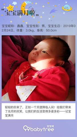 journal_insert_pic_1205370469