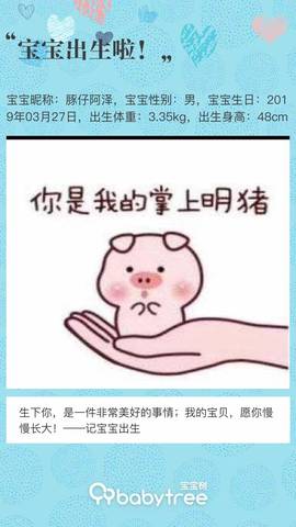 journal_insert_pic_1206553450