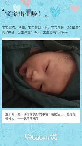 journal_insert_pic_1207726350