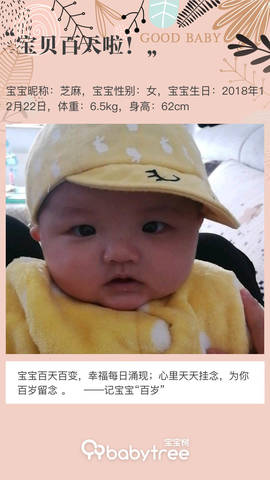 journal_insert_pic_1208460867