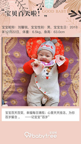 journal_insert_pic_1208482246