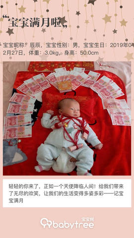 journal_insert_pic_1208849295