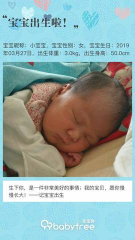 journal_insert_pic_1208935307